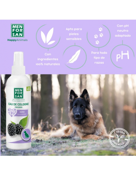 Colonia Perro MFS Mora 125 Ml