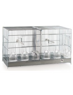 Jaula Cría Doble 60cm