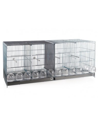 Jaula Cria Doble 100 cm