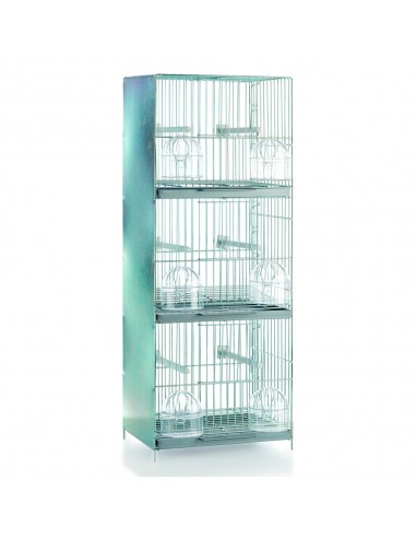 Jaula Concurso Triple