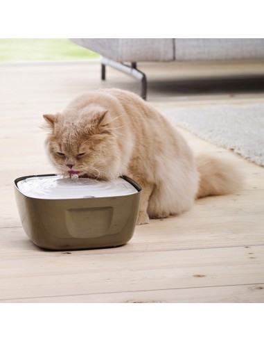 Bebedero Automatico Volcano