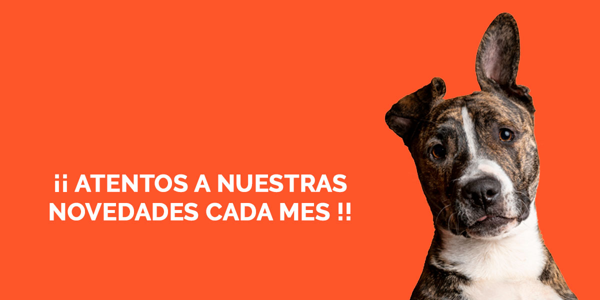 Atentos a nuestras novedades