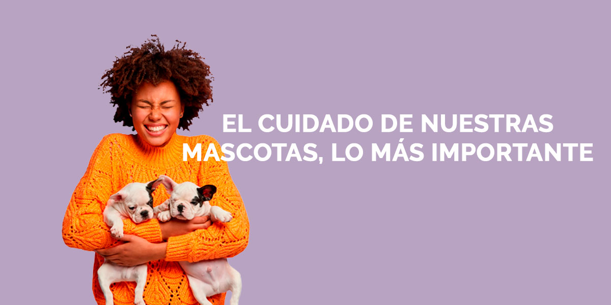 Mascotas lo mas importante